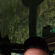 ���������� ������, ���� ������� ����, 46 ���, ������������ ��� ������, ����� � ���������