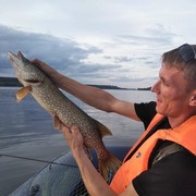 ���������� ����, ���� ������� �����, 38 ���, ������������ ��� ������