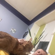  ,   , 35 ,  