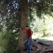 ���������� ������, ���� ������� ������, 43 ����, ������������ ��� ������, ����� � ���������, c�������� ���������