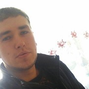 ���������� ����, ���� ������� DANMANTROV, 31 ���, ������������ ��� ������, ����� � ���������, c�������� ���������, ���������