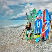 ���������� ���������, ���� ������� ���������, 44 ����, ������������ ��� ����� � ���������, c�������� ���������