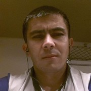   ,   , 41 ,  