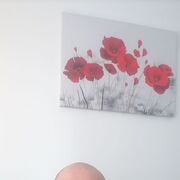 �������