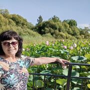 ���������� �������, ���� ������� �������, 62 ����, ������������ ��� c�������� ���������