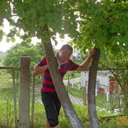 ���������� �����, ���� ������� Serg, 39 ���, ������������ ��� ������