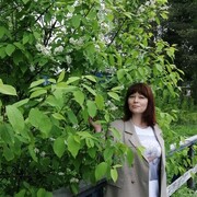  ,   , 50 ,     , c , 