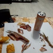 ���������� ������, ���� ������� �������, 39 ���, ������������ ��� ������, ����� � ���������, c�������� ���������, ���������