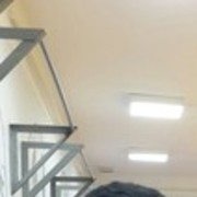  ,   Aziz, 31 ,   ,   , c 