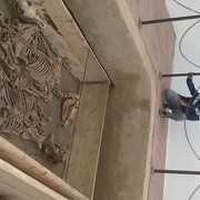 ���������� ����-�����������, ���� ������� ����, 52 ����, ������������ ��� ������, ����� � ���������, c�������� ���������