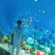 ���������� ������������, ���� ������� Valery, 32 ����, ������������ ��� ������, ����� � ���������