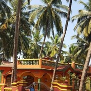 ���������� ������-��-����, ���� ������� ��������, 37 ���, ������������ ��� ������, ����� � ���������