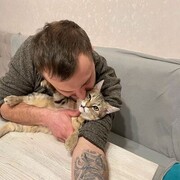 ���������� ������, ���� ������� ��onis, 38 ���, ������������ ��� ������, ����� � ���������, c�������� ���������, ���������