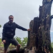 ���������� ������-��-����, ���� ������� ������, 37 ���, ������������ ��� ������, ����� � ���������, c�������� ���������, ���������