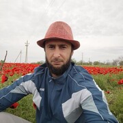 ���������� ������, ���� ������� ������, 31 ���, ������������ ��� ������, ����� � ���������