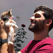 ���������� ����, ���� ������� ������, 38 ���, ������������ ��� ������, ����� � ���������