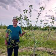 ���������� ������ ��������, ���� ������� ��������, 60 ���, ������������ ��� ������, ����� � ���������, ���������