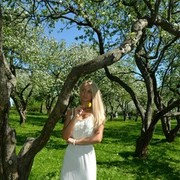 ���������� ����������, ���� ������� ��������, 43 ����, ������������ 