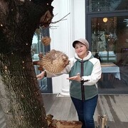 ���������� �����, ���� ������� �����, 60 ���, ������������ ��� c�������� ���������