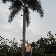  ,   , 63 ,   