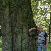 ���������� �����-���������, ���� ������� ������, 66 ���, ������������ ��� ����� � ���������, c�������� ���������