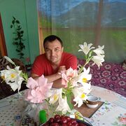  -,   , 43 ,   ,   