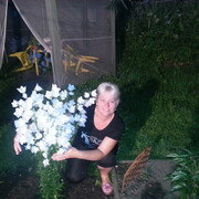 ���������� �����������, ���� ������� ������, 59 ���, ������������ ��� ������, ����� � ���������, c�������� ���������, ���������