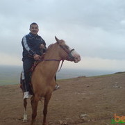  ,   Nematulla, 38 ,     , c 