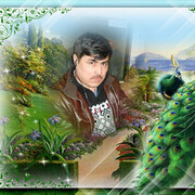 ���������� ����, ���� ������� �����, 51 ���, ������������ ��� ������, ����� � ���������