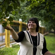  ,   , 46 ,   , 