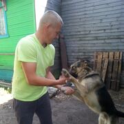 ���������� ������ ��������, ���� ������� ����, 41 ���, ������������ ��� ������, ����� � ���������