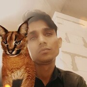 ���������� �����-���������, ���� ������� Mumtaj, 26 ���, ������������ ��� ������, ����� � ���������