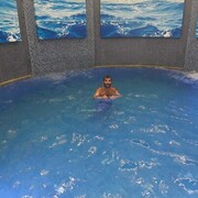 ���������� ����������, ���� ������� �����, 41 ���, ������������ ��� ������, ����� � ���������