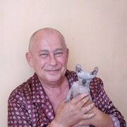  ,   , 59 ,   