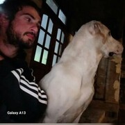 ���������� ������, ���� ������� Nikusha, 29 ���, ������������ ��� ����� � ���������, c�������� ���������