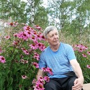 ���������� ����������, ���� ������� ���������, 68 ���, ������������ ��� ����� � ���������, c�������� ���������, ���������