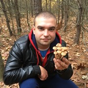   ,   , 29 ,   