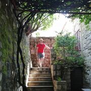  ,   Alexander, 40 ,   ,   