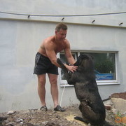 ���������� ��������, ���� ������� �������, 48 ���, ������������ ��� ������