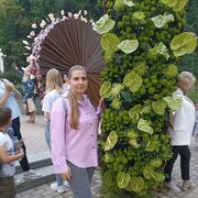 ���������� �������, ���� ������� ���������, 33 ����, ������������ ��� ������, ����� � ���������, c�������� ���������, ���������