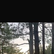 ���������� ������, ���� ������� �����, 28 ���, ������������ ��� ����� � ���������, c�������� ���������, ���������