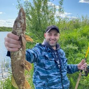 ���������� �������, ���� ������� �����, 37 ���, ������������ ��� ������, ����� � ���������