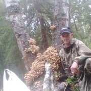  ,   , 52 ,   ,   , c , 