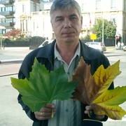  -,   , 66 ,   
