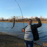 ���������� ���������� �����, ���� ������� �������, 47 ���, ������������ ��� ������, ����� � ���������, c�������� ���������