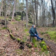  Wernigerode,  , 36
