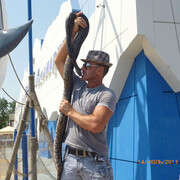 ���������� �������, ���� ������� ����������, 51 ���, ������������ ��� ������, ����� � ���������