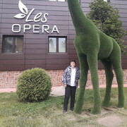 ���������� �����������, ���� ������� ��������, 50 ���, ������������ ��� c�������� ���������