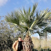  ,   Piotr, 57 ,   ,   , c 