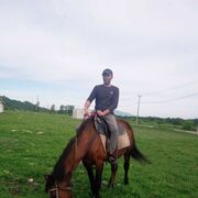 ���������� �����, ���� ������� �������, 38 ���, ������������ ��� ������, ����� � ���������, c�������� ���������, ���������